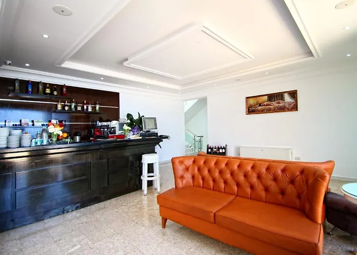 Aler Luxury 酒店 4*